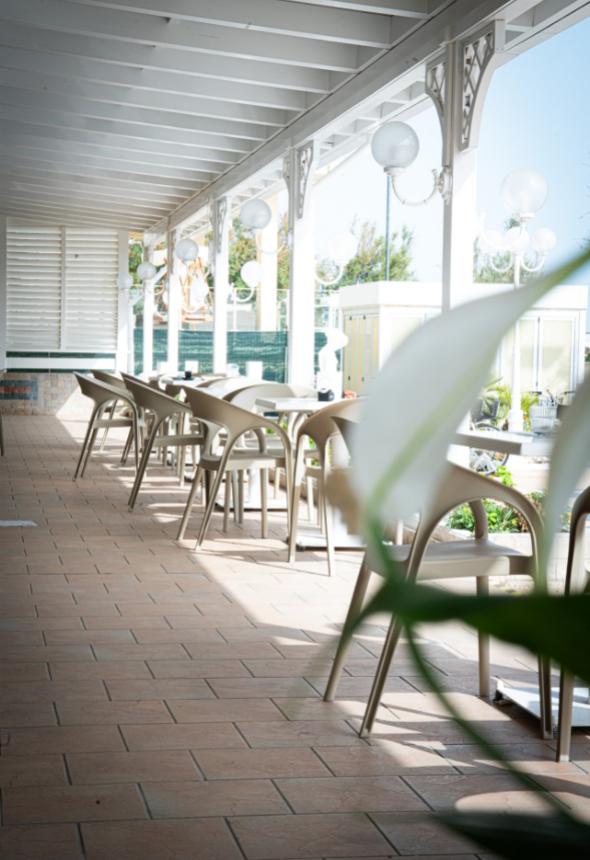 Terrace with chairs and tables, natural light and plants.